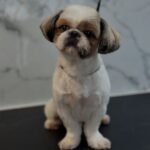 Dog grooming